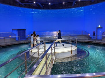 城崎マリンワールドに投稿された画像（2023/5/13）