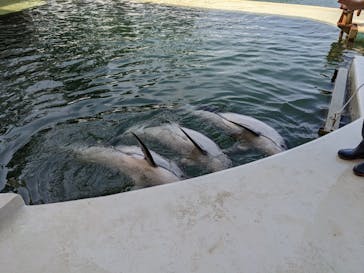 城崎マリンワールドに投稿された画像（2023/5/13）