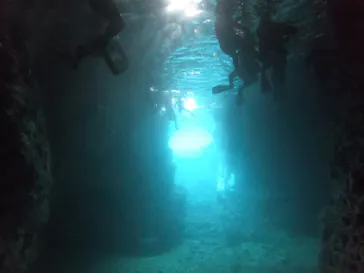 武藤潜水に投稿された画像（2023/5/13）