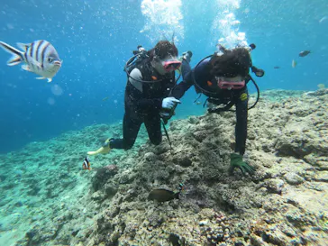 武藤潜水に投稿された画像（2023/5/13）