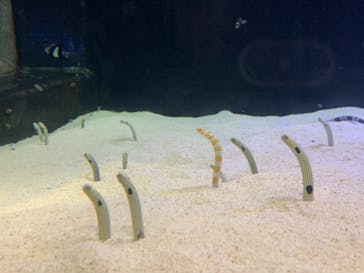 株式会社Gに投稿された画像（2023/5/13）