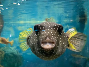 株式会社Gに投稿された画像（2023/5/13）