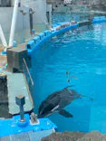 名古屋港水族館に投稿された画像（2023/5/13）