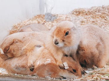 アニタッチみなとみらいに投稿された画像（2023/5/13）