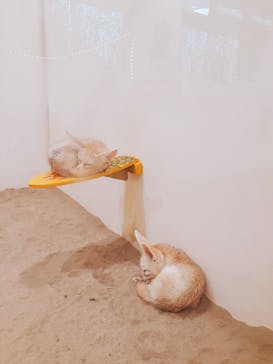 アニタッチみなとみらいに投稿された画像（2023/5/13）