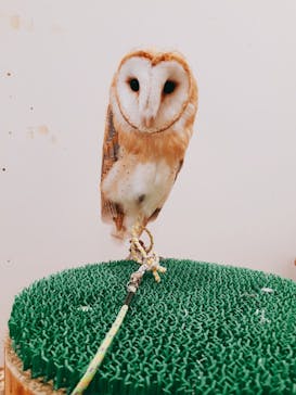 アニタッチみなとみらいに投稿された画像（2023/5/13）