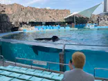 名古屋港水族館に投稿された画像（2023/5/13）