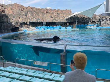 名古屋港水族館に投稿された画像（2023/5/13）
