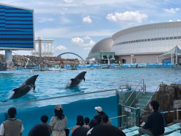 名古屋港水族館に投稿された画像（2023/5/13）