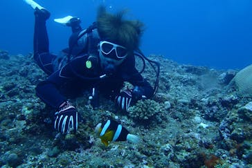 Step海ダイバーズ・スクール宮古島に投稿された画像（2023/5/3）