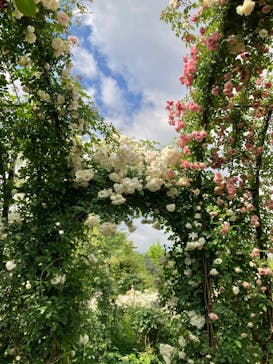 横浜イングリッシュガーデンに投稿された画像（2023/5/13）