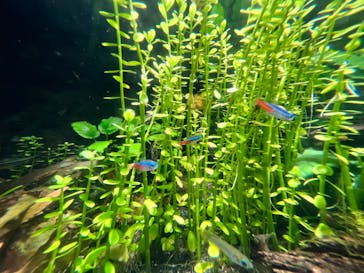 サンシャイン水族館に投稿された画像（2023/5/13）