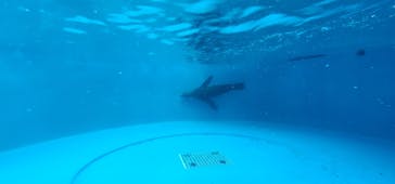 サンシャイン水族館に投稿された画像（2023/5/13）