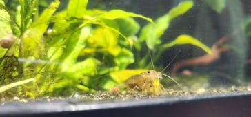 サンシャイン水族館に投稿された画像（2023/5/13）