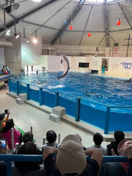 登別マリンパークニクスに投稿された画像（2023/5/13）