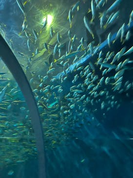 登別マリンパークニクスに投稿された画像（2023/5/13）