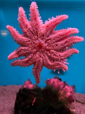 登別マリンパークニクスに投稿された画像（2023/5/13）