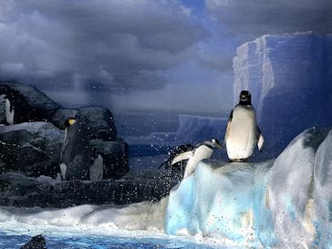 名古屋港水族館に投稿された画像（2023/5/13）