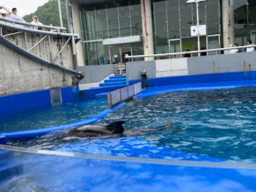 大分マリーンパレス水族館 「うみたまご」に投稿された画像（2023/5/13）