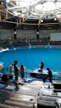 マクセル アクアパーク品川に投稿された画像（2023/5/13）