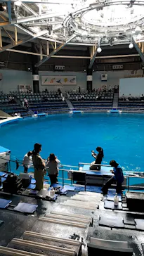 マクセル アクアパーク品川に投稿された画像（2023/5/13）