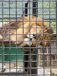 しろとり動物園に投稿された画像（2023/5/13）