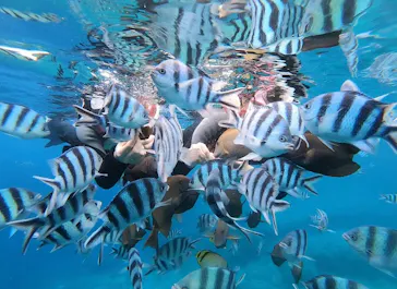 武藤潜水に投稿された画像（2023/5/13）