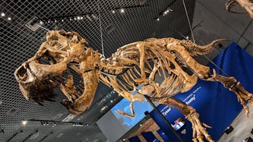 特別展「恐竜博2023」に投稿された画像（2023/5/13）