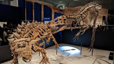 特別展「恐竜博2023」に投稿された画像（2023/5/13）