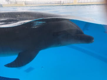 マリンワールド海の中道に投稿された画像（2023/5/13）