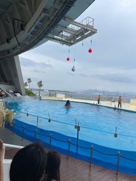マリンワールド海の中道に投稿された画像（2023/5/13）