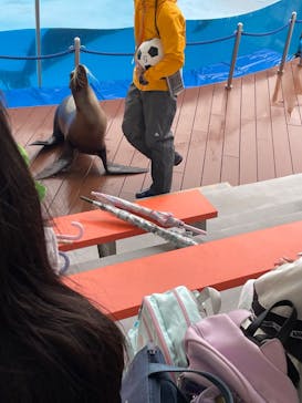 マリンワールド海の中道に投稿された画像（2023/5/13）