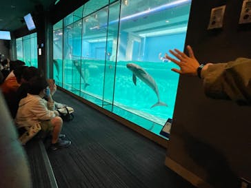 マリンワールド海の中道に投稿された画像（2023/5/13）