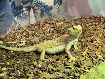 NARA IKIMONO MUSEUMに投稿された画像（2023/5/13）