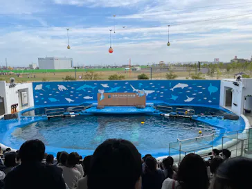 仙台うみの杜水族館に投稿された画像（2023/5/13）