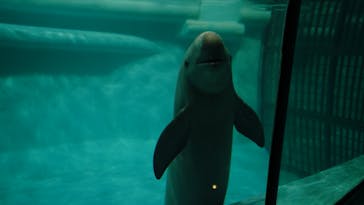 マリンワールド海の中道に投稿された画像（2023/5/13）