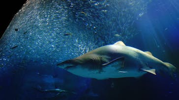 マリンワールド海の中道に投稿された画像（2023/5/13）