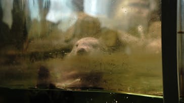 マリンワールド海の中道に投稿された画像（2023/5/13）