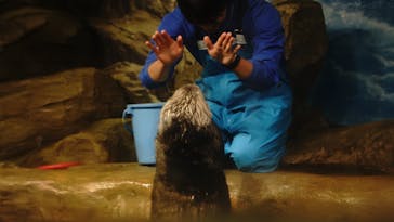 マリンワールド海の中道に投稿された画像（2023/5/13）