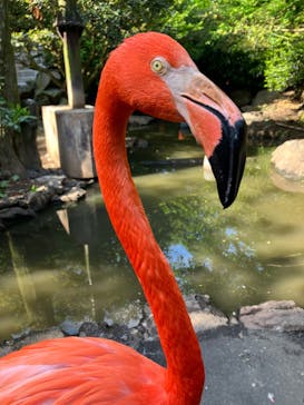 伊豆シャボテン動物公園に投稿された画像（2023/5/13）