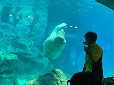 名古屋港水族館に投稿された画像（2023/5/13）