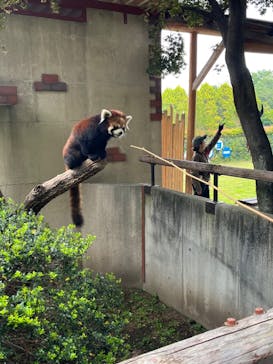 群馬サファリパークに投稿された画像（2023/5/13）