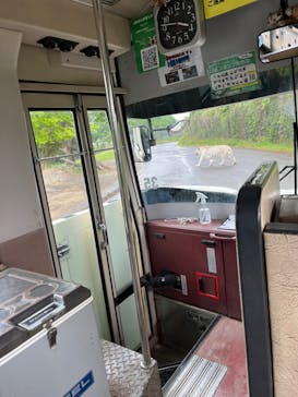 群馬サファリパークに投稿された画像（2023/5/13）