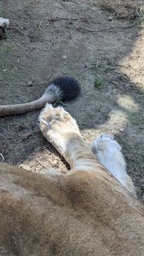 日立市かみね動物園に投稿された画像（2023/5/13）
