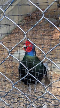 日立市かみね動物園に投稿された画像（2023/5/13）