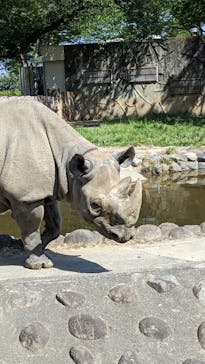 日立市かみね動物園に投稿された画像（2023/5/13）