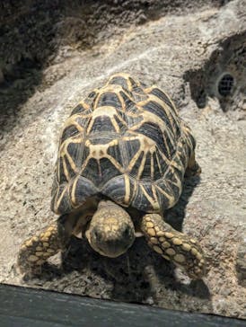サンシャイン水族館に投稿された画像（2023/5/13）