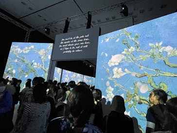 ゴッホ・アライブ神戸に投稿された画像（2023/5/13）