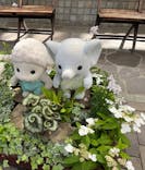 安城産業文化公園デンパークに投稿された画像（2023/5/13）