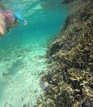 宮古島 ADVENTURE PiPi（ミヤコジマ アドベンチャー ピピ）に投稿された画像（2023/5/13）